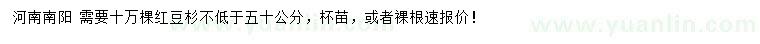 求購(gòu)50公分以上紅豆杉