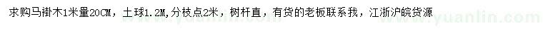 求購1米量20公分馬褂木