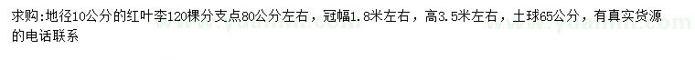 求購地徑10公分紅葉李
