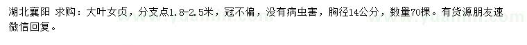 求購胸徑14公分大葉女貞
