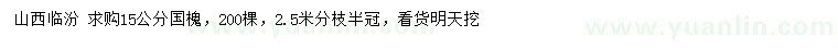 求購15公分國槐