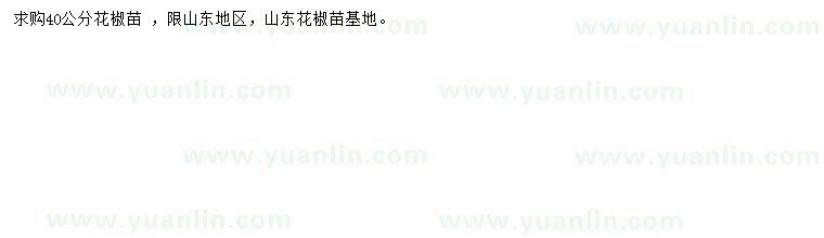 求購40公分花椒苗