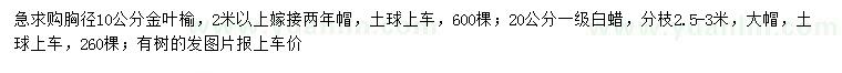 求購胸徑10公分金葉榆、20公分白蠟