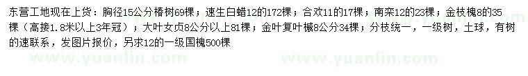 求購椿樹、速生白蠟、合歡等