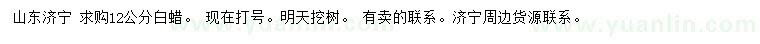 求購(gòu)12公分白蠟