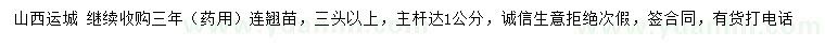 求購三年連翹苗