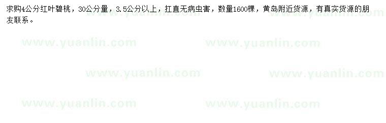 求購(gòu)30公分量3.5公分以上紅葉碧桃