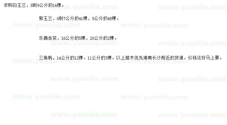 求購白玉蘭、紫玉蘭、樂昌含笑等