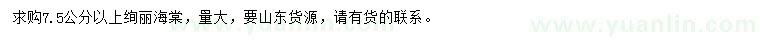 求購7.5公分以上絢麗海棠