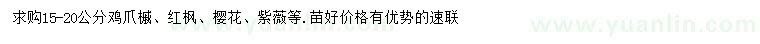 求購雞爪槭、紅楓、櫻花等