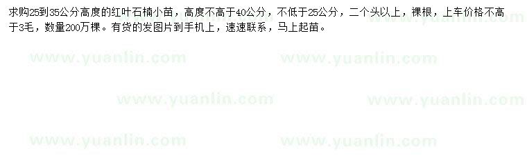 求購(gòu)25-35公分紅葉石楠小苗