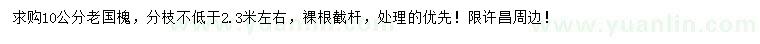 求購10公分老國槐