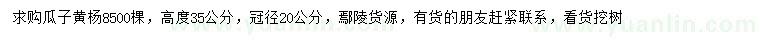 求購(gòu)冠徑20公分瓜子黃楊