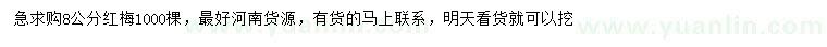 求購(gòu)8公分紅梅