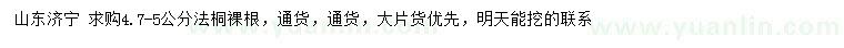 求購4.7-5公分法桐