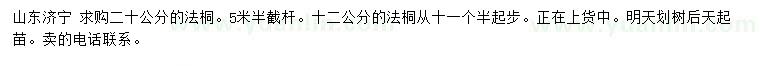 求購20公分法桐