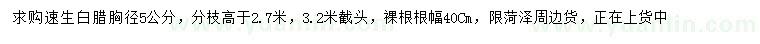 求購胸徑5公分速生白臘