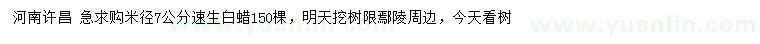 求購米徑7公分速生白蠟