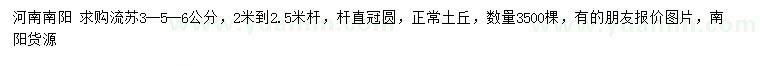求購3、5、6公分流蘇