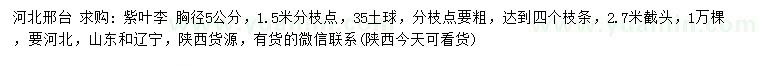 求購胸徑5公分紫葉李