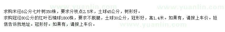 求購米徑6公分七葉樹、冠徑80公分紅葉石楠球
