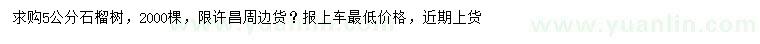 求購5公分石榴樹