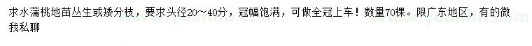 求購頭徑20-40公分水蒲桃地苗