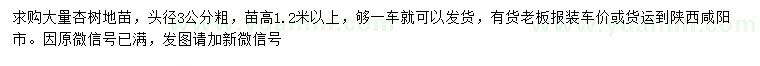 求購頭徑3公分杏樹