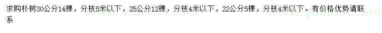 求購22、25、30公分樸樹