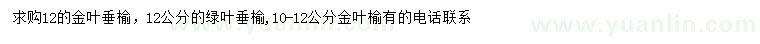 求購(gòu)金葉垂榆、綠葉垂榆、金葉榆