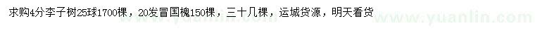 求購(gòu)20量4公分李子樹、20公分國(guó)槐