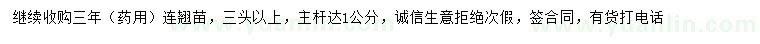 求購三年藥用連翹苗
