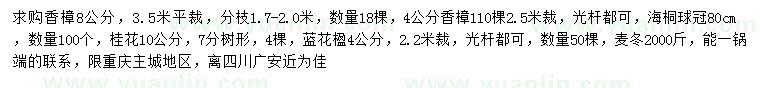 求購(gòu)香樟、海桐球、桂花等
