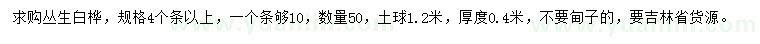 求購4個條以上叢生白樺