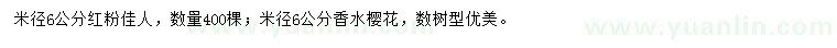 求購米徑6公分紅粉佳人、香水櫻花
