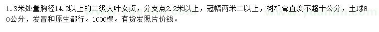 求購:1.3米量14.2公分以上大葉女貞
