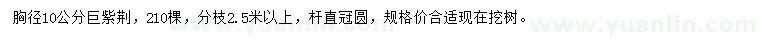 求購(gòu)胸徑10公分巨紫荊