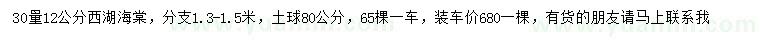 求購30量12公分西府海棠