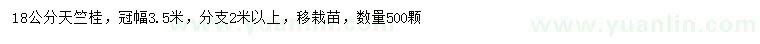 求購18公分天竺桂
