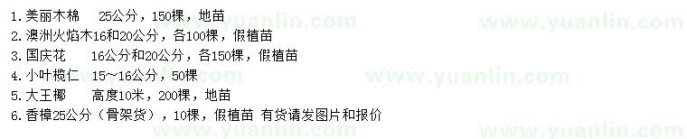 求購美麗木棉、澳洲火焰木、國慶花等