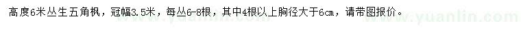 求購高6米五角楓 
