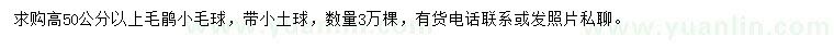 求購高50公分以上毛鵑球