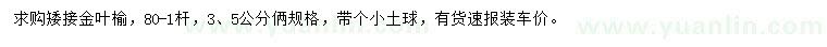 求購3、5公分矮接金葉榆