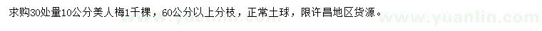 求購30處量10公分美人梅