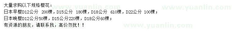 求購日本早櫻、日本晚櫻