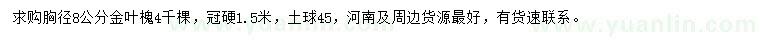 求購胸徑8公分金葉槐