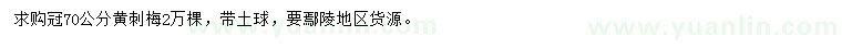 求購(gòu)冠70公分黃刺梅