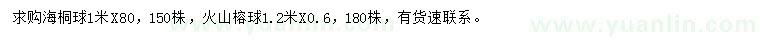 求購冠1米海桐球、冠1.2米火山榕球