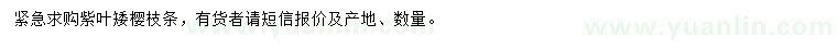 求購紫葉矮櫻枝條