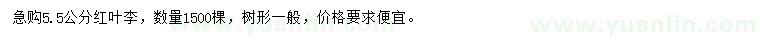求購5.5公分紅葉李